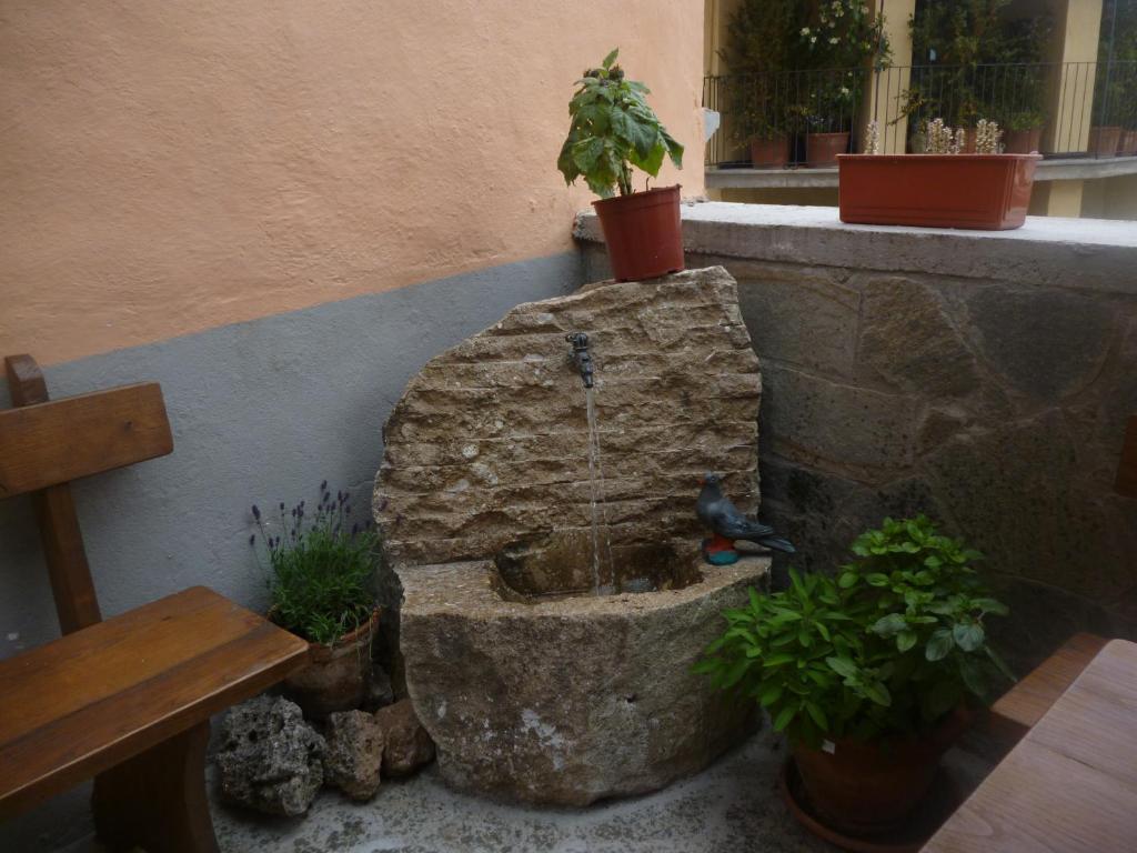 B&B Pisolo E I Persi Pien Roccasparvera Bagian luar foto